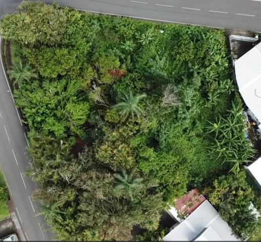 Terrain à Batir à vendre à Saint-Joseph à la Réunion (97480), ref : 97410-1088923