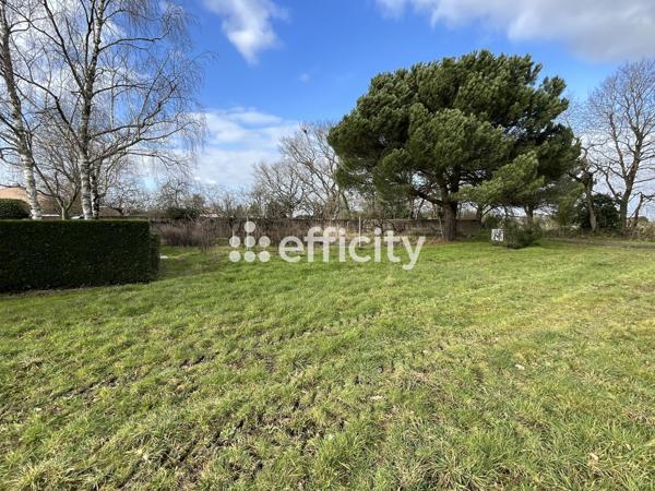 Terrain - 800 m²