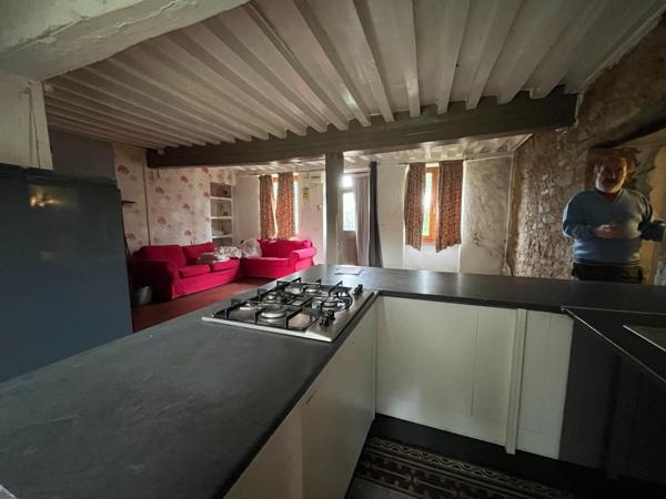Charmante maison a renover dans la nature