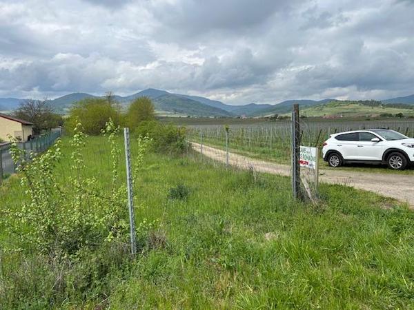 Vente / Terrain agricole