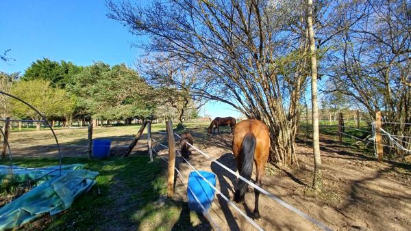 À vendre - Maison ancienne, 5 pièces située à Le Controis-en-Sologne (41400)