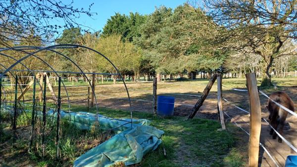 À vendre - Maison ancienne, 5 pièces située à Le Controis-en-Sologne (41400)