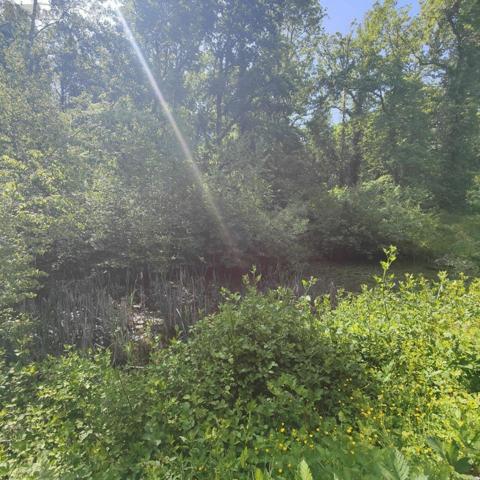 Maison à vendre à Chaource dans l'Aube (10210), ref : 1036102/5592