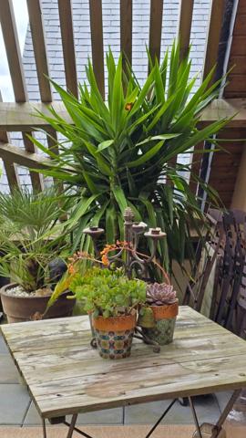 Appartement à vendre 4 pièces terrasse SAINT LUNAIRE (35)