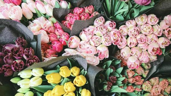 Vente Fonds de commerce 74 m2 à Montivilliers