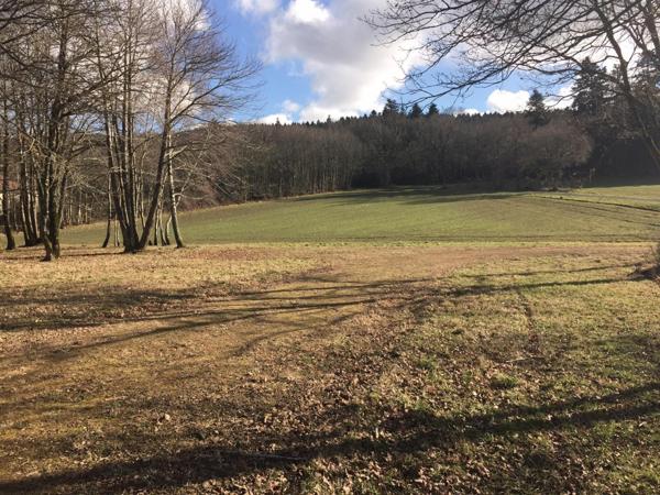 Terrain à bâtir 4500m², piscinable