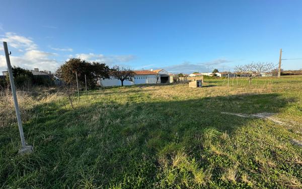 Terrain à vendre    Saint-Pierre-d'Oléron