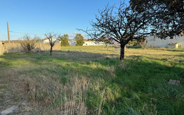 Terrain à vendre    Saint-Pierre-d'Oléron