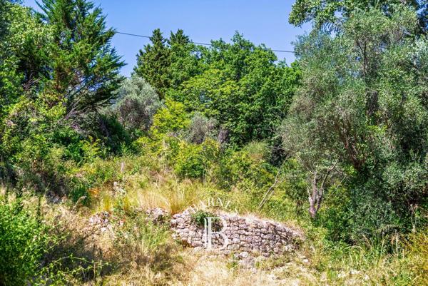 Grasse, Terrain  2 300 m² à vendre