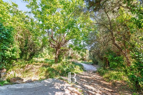 Grasse, Terrain  2 300 m² à vendre