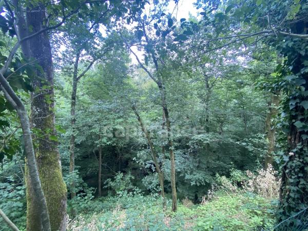 🌿 CRAPONNE – Maison familiale avec parc arboré en lotissement privé – Cadre naturel unique et fort potentiel