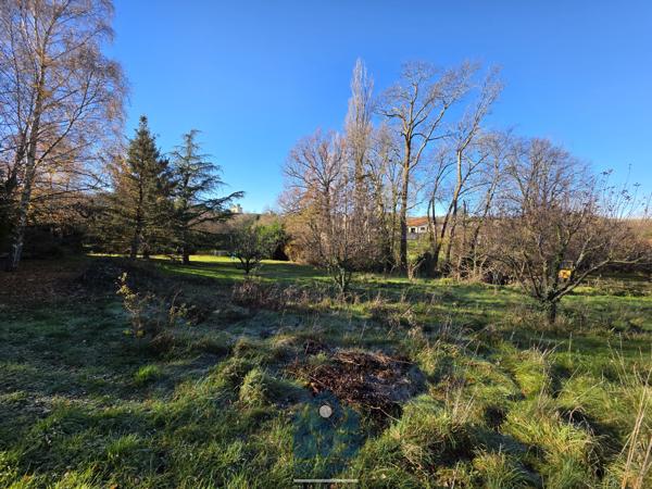 Terrain