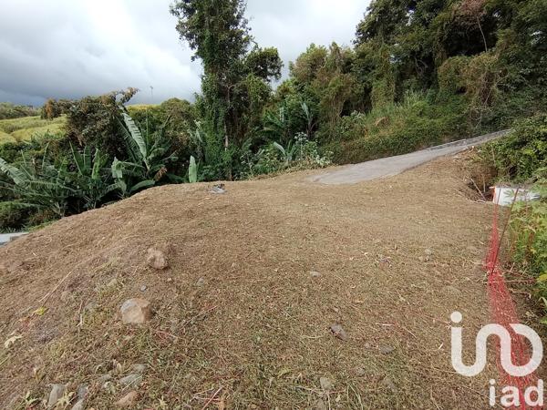 Terrain à vendre 1 052 m² Saint-Pierre