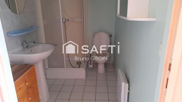 Immeuble de rapport, 9 appartements F2, 5 caves, 228 m²