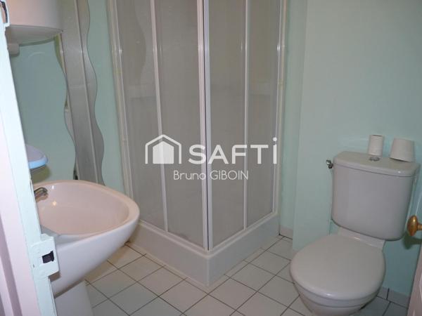 Immeuble de rapport, 9 appartements F2, 5 caves, 228 m²