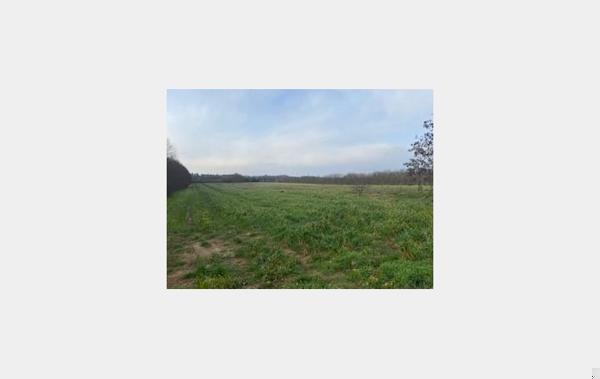 Vente Terrain Valence   