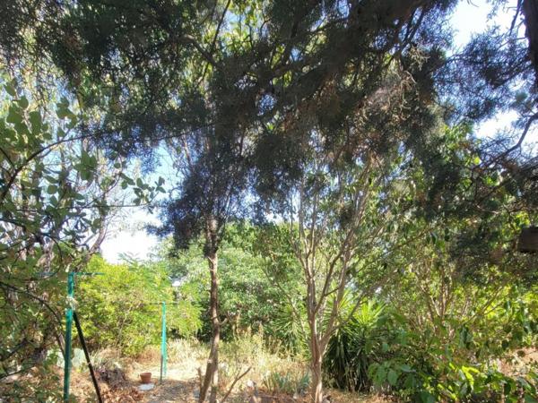 MARSEILLE (13013)  LA BATARELLE HAUTE - Exclusivité - VENTE A TERME NUE PROPRIETE - Maison avec jardin