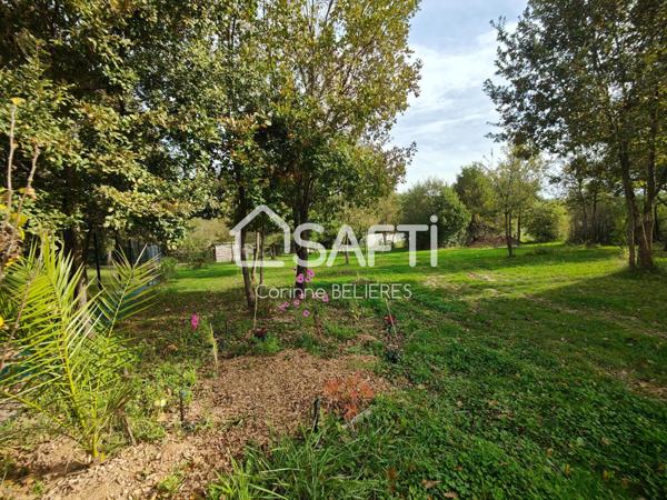 Maison en ossature bois de 214m² avec grand terrain boisé