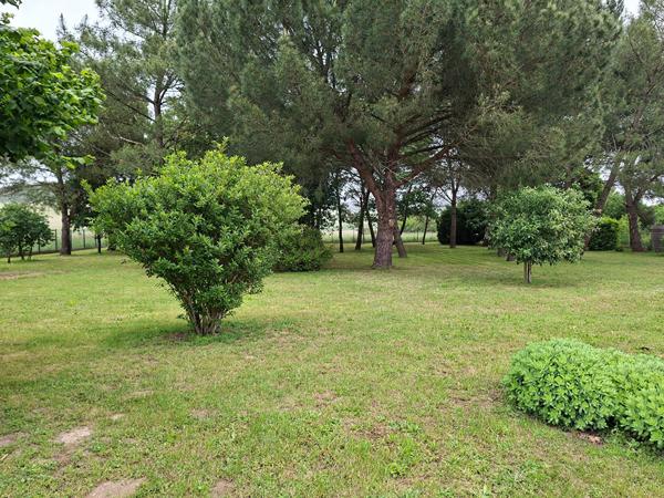 Maison 6 pièces à vendre Barrou - 37350 / Réf: 11995-1