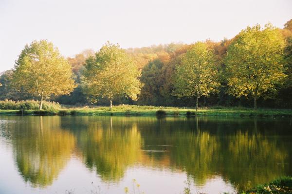 Civrieux (01390) Maison 4 chambres récente de plain-pied avec piscine et garage à Civrieux (01390)