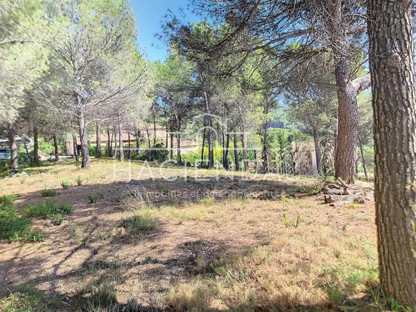 Ventabren (13122) Terrain au calme, dans un environnement naturel à pied des commerces