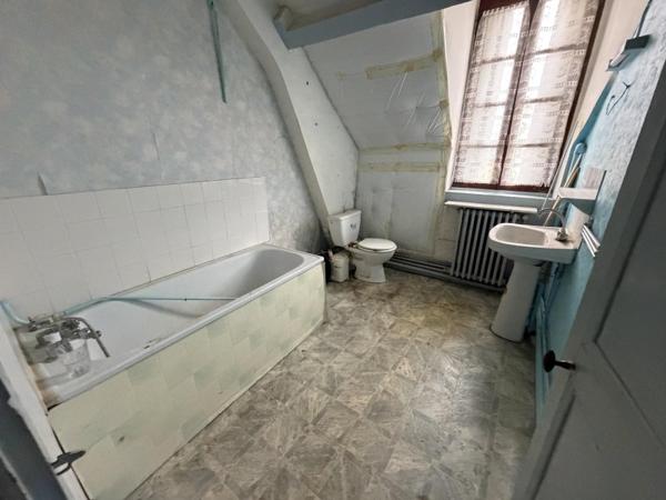 Vente / Immeuble à Val-du-Maine (53340)