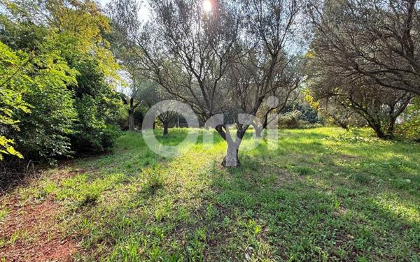 Maison à vendre    4 pièces •  Puget-Ville