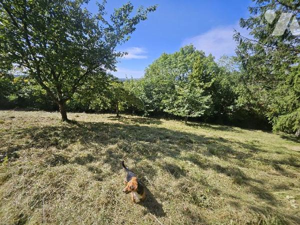 Terrain à vendre Manneville-la-Pipard