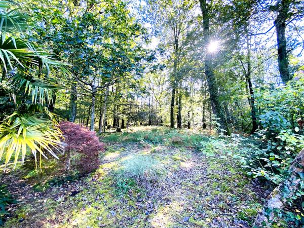 Maison spacieuse au coeur d'un écrin de verdure