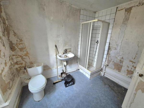 Immeuble de rapport à vendre à Landreville dans l'Aube (10110), ref : 10043-357