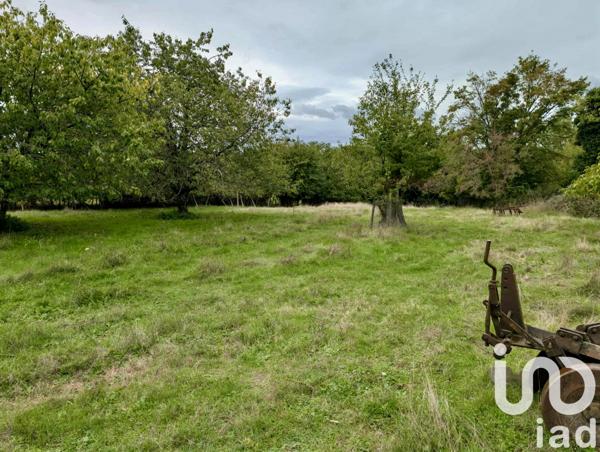 Maison à vendre 6 pièces 105 m² Châteauneuf-sur-Charente