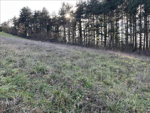Terrain à vendre |  Nailloux |  800 m²