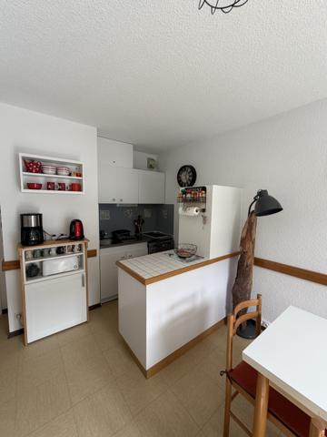 STUDIO COSY SECTEUR FONT D'ALAGNON