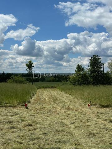 Terrain de 1 094 m²