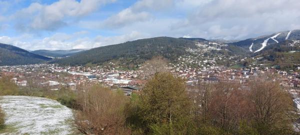 Location Appartement 25.67 m² - Gérardmer 88400