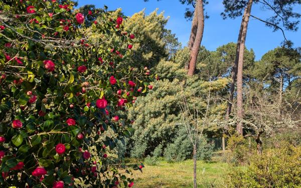 Maison à vendre    6 pièces •  La Teste-de-Buch