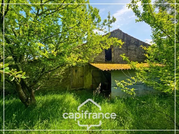 Maison en pierre à rénover, dépendances, terrain 5000m² avec puit, sans vis à vis