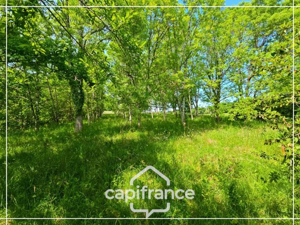 Maison en pierre à rénover, dépendances, terrain 5000m² avec puit, sans vis à vis