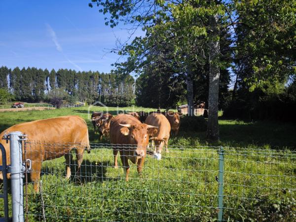 Terrain agricole de 50 000 m²