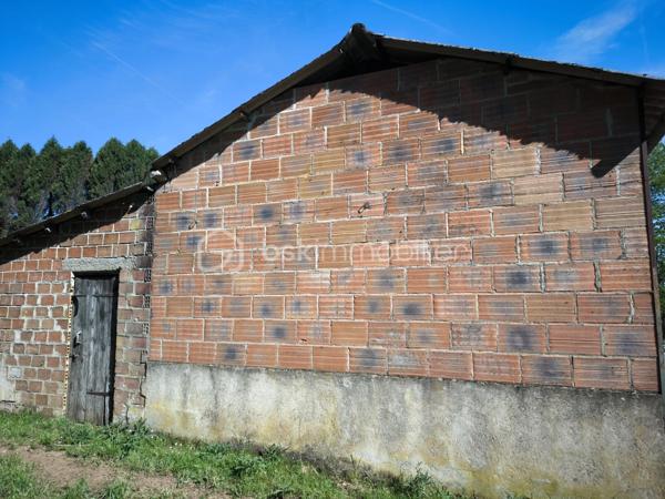 Terrain agricole de 50 000 m²