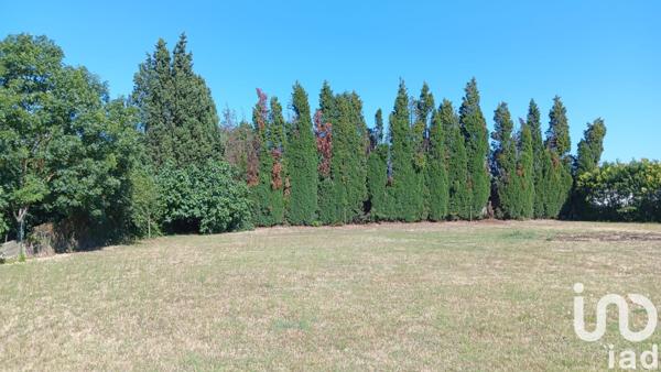 Terrain à vendre 1 020 m² Labastide-d'Anjou