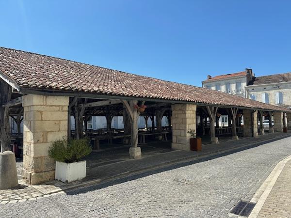 Cozes (17120) 

belle maison bourgeoise de ville