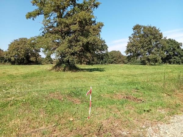 Terrain à AHUILLE, 53940 - 2886m²