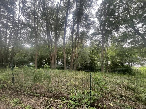 Vente                                                      Terrain
                        
                                         1100 m2                     à Valdivienne