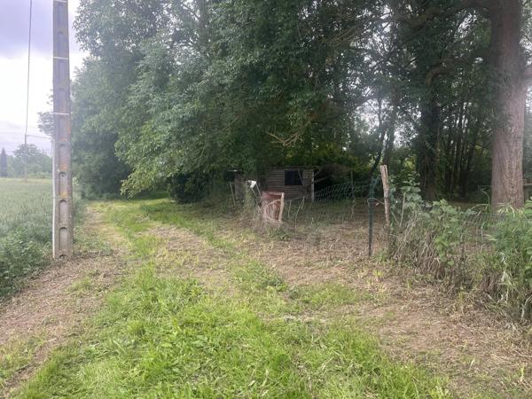 Vente                                                      Terrain
                        
                                         1100 m2                     à Valdivienne