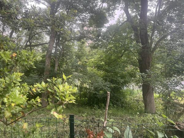 Vente                                                      Terrain
                        
                                         1100 m2                     à Valdivienne
