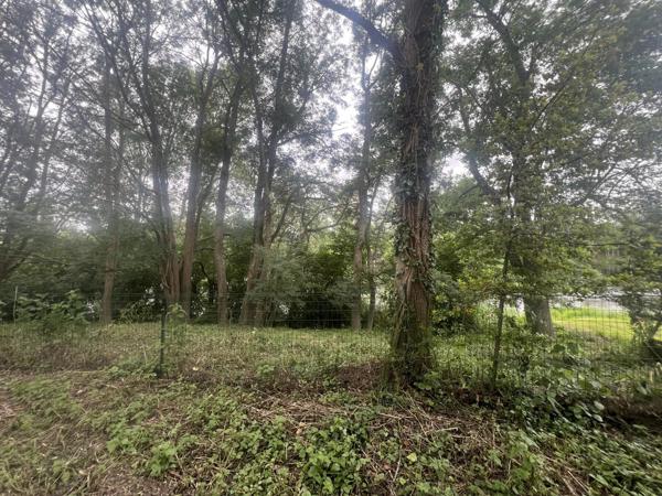 Vente                                                      Terrain
                        
                                         1100 m2                     à Valdivienne