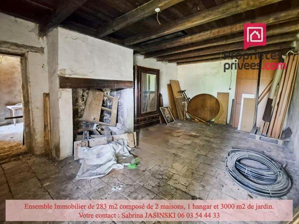 Ensemble immobilier, deux maisons, double garage et grand jardin