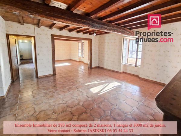 Ensemble immobilier, deux maisons, double garage et grand jardin