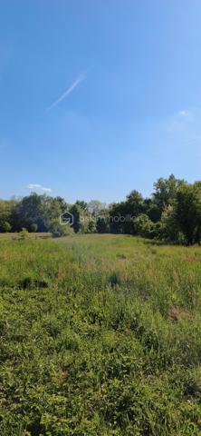 RARE – Terrain d’exception au calme absolu avec potentiel – Albias

Sur la commune de Albias, découvrez ce superbe terrain de 3 245 m², dont 505 m² constructibles, offrant un cadre de vie privilégié entre nature, tranquillité, proximité des commodités et des accès routiers.

🌿 Un véritable havre de paix
Imaginez votre future maison dans un environnement préservé, sans aucun vis-à-vis, entouré de terrains non constructibles…
Le calme y est total, avec un accès par une voie sans issue, garantissant sérénité et qualité de vie au quotidien.

🐎 Un terrain idéal pour les amoureux de nature et d’espace
Présence de boxes à chevaux déjà en place : parfait pour accueillir chevaux, poneys ou autres animaux.
Un lieu rare pour allier confort de vie et passion.

🧱 Des bases solides pour votre projet

- Étude de sol G1 favorable : construction facilitée (pas de pieux nécessaires)
- Possibilité de réaliser un puits peu profond afin d'avoir l'eau gratuite...
- Terrain longé par une voie, offrant à terme un potentiel de division parcellaire (selon évolution du PLU)

📍 Une localisation stratégique

- À seulement 1 km du centre-ville et de toutes les commodités
- À 10 minutes de Montauban (zone commerciale et accès autoroute)
- À 15 minutes de Caussade
- À 50 minutes de Toulouse et de l’Aéroport Toulouse-Blagnac

💡 Un bien rare sur le secteur
Que ce soit pour construire votre résidence principale dans un cadre paisible ou pour investir avec une vision à long terme, ce terrain offre un équilibre parfait entre qualité de vie et potentiel.

✨ Une opportunité à ne pas laisser passer – ce type de bien reste très peu de temps sur le marché.

Venez visitez ce charmant lieu et vous serez séduits.

PRIX H.A.I. : 69000 €

Contactez votre conseiller BSK Immobilier :
PIERLOT Corentin - Agent commercial immatriculé au RSAC d'Albi sous le numéro 521641936.

INFORMATIONS ET VISITES : 0621220824